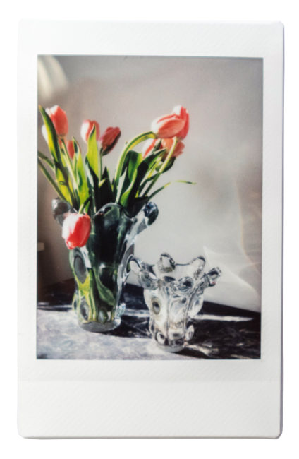 Artemis - Flowers Polaroid